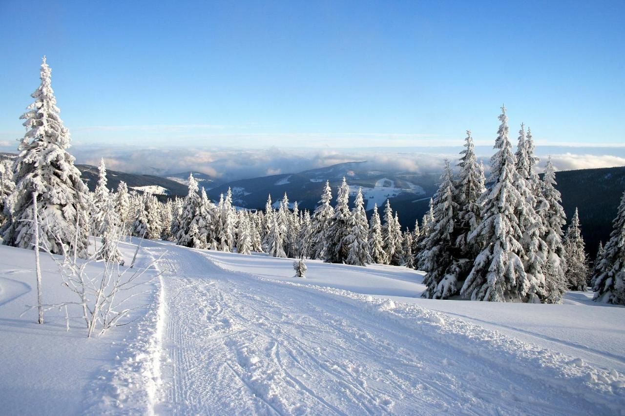 Проживание в семье Willa u Renaty - Widok na Giewont Закопане-36